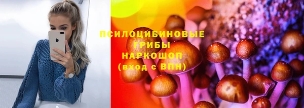 apvp Балабаново